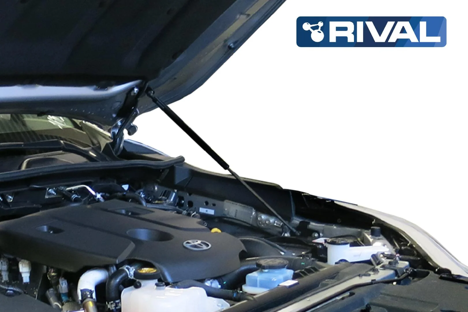 Motorhauben - Dämpfer